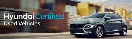 HyundaiDemo1 in Derwood MD